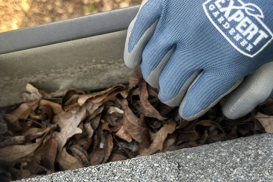 Gutter Cleaning Stonecrest