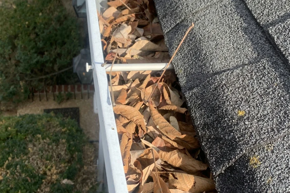 Gutter Cleaning Stonecrest